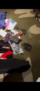 我的母狗