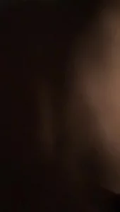 独占幽兰心